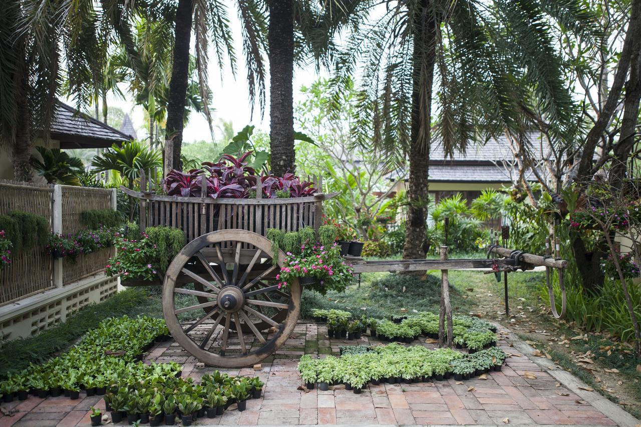 Fanli Resort Chiang Mai Mae Rim Ngoại thất bức ảnh